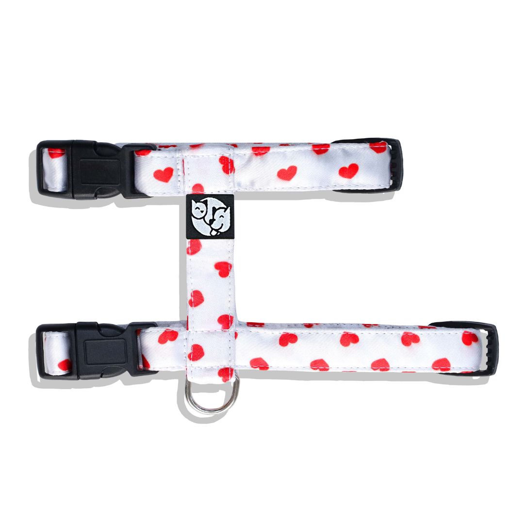 Love Puppy & Cat Collar Leash Harness Set