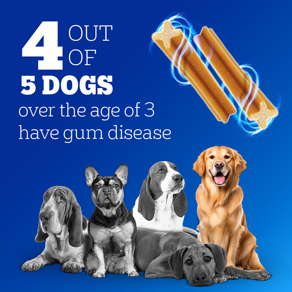 Pedigree Dentastix Oral Care for Adult (Medium Breed of 10 to 25 kg) Dog Treats