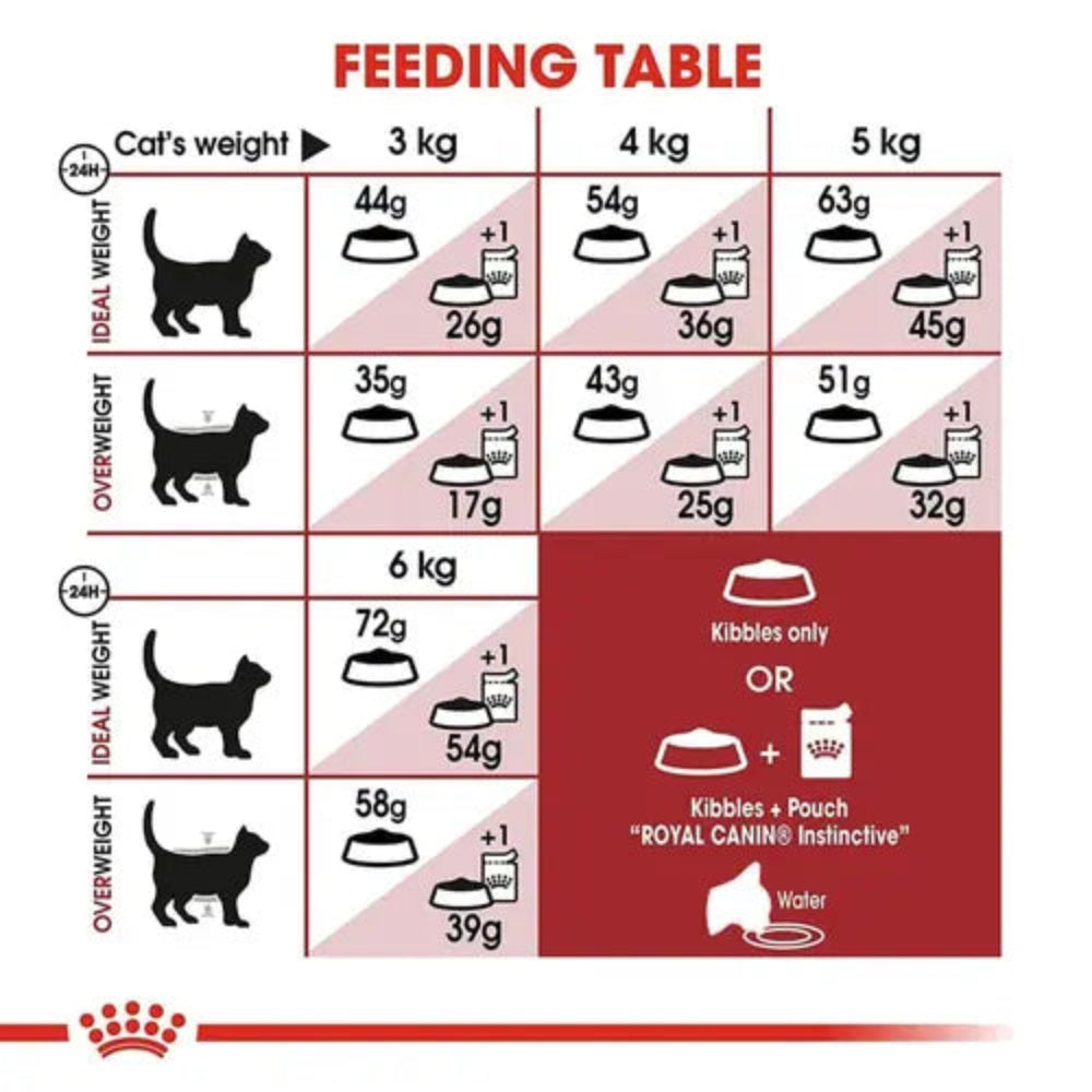 Royal Canin Fit 32 Regular for Adult Cat Dry Food