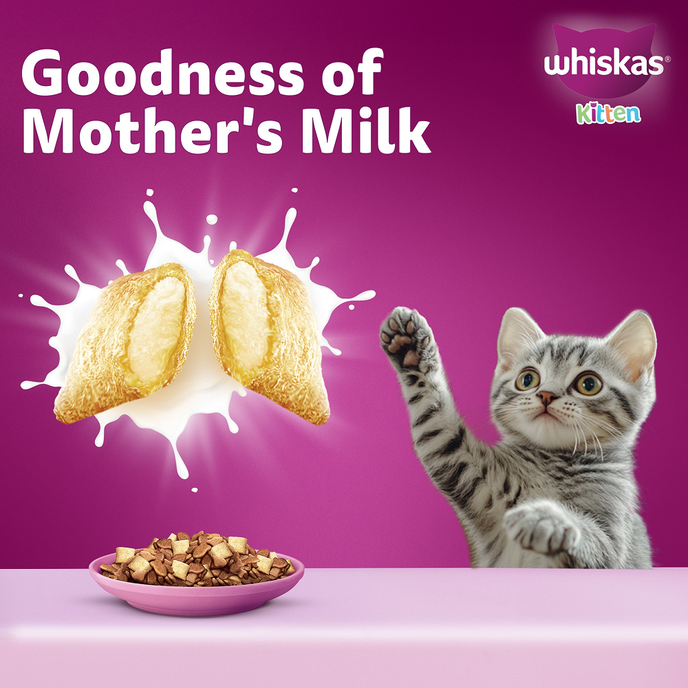 Whiskas Mackerel Flavour Kitten (2 to 12 months)Cat Dry Food
