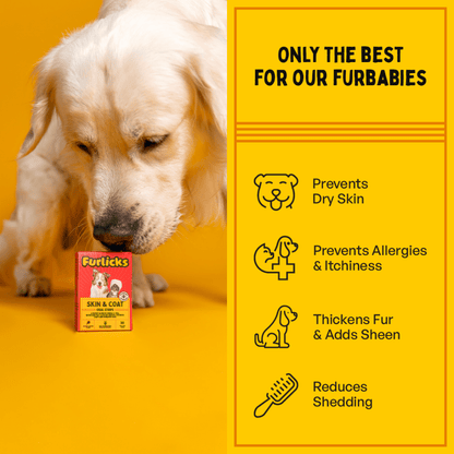 Furlicks Skin & Coat Supplement for Cats and Dogs