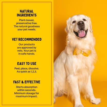 Furlicks Skin & Coat Supplement for Cats and Dogs