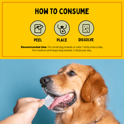 Furlicks Skin & Coat Supplement for Cats and Dogs