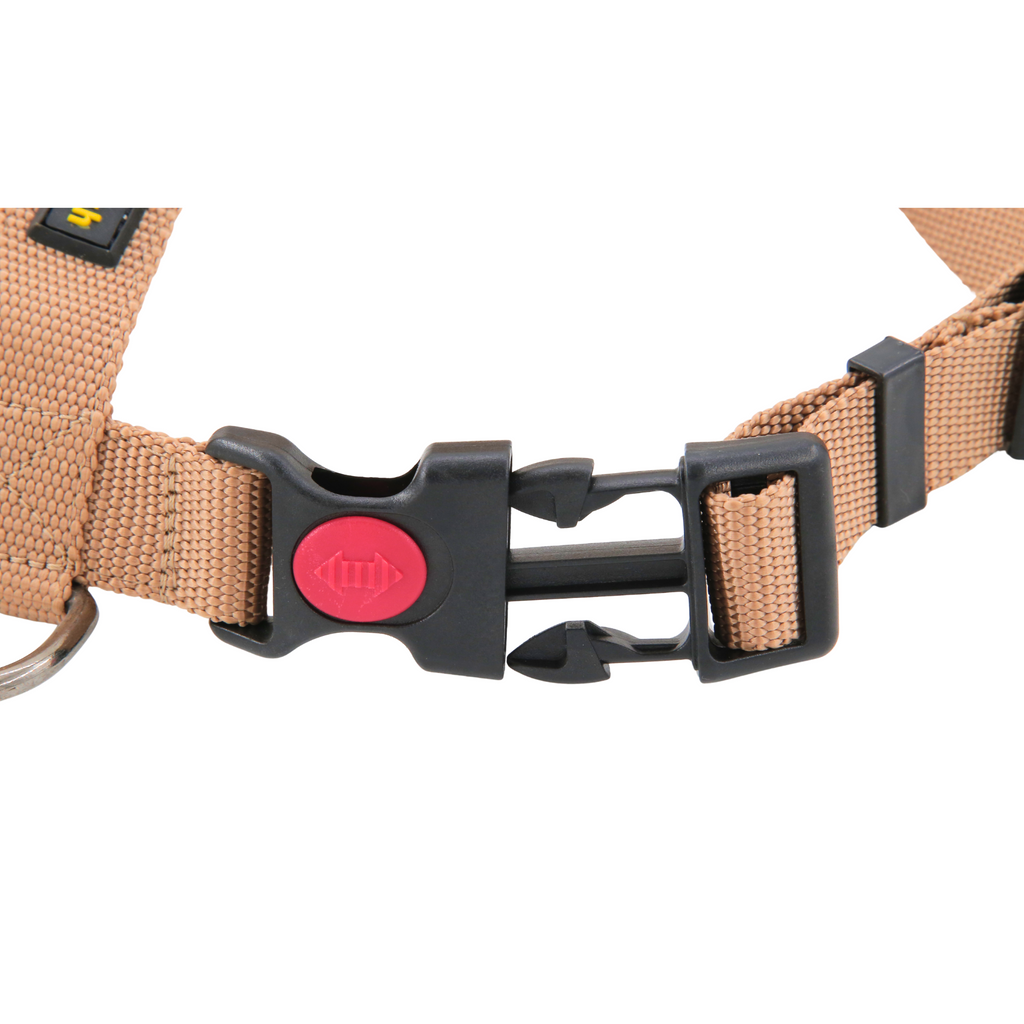 Petblush Premium Solid H Harness with Lock Buckle