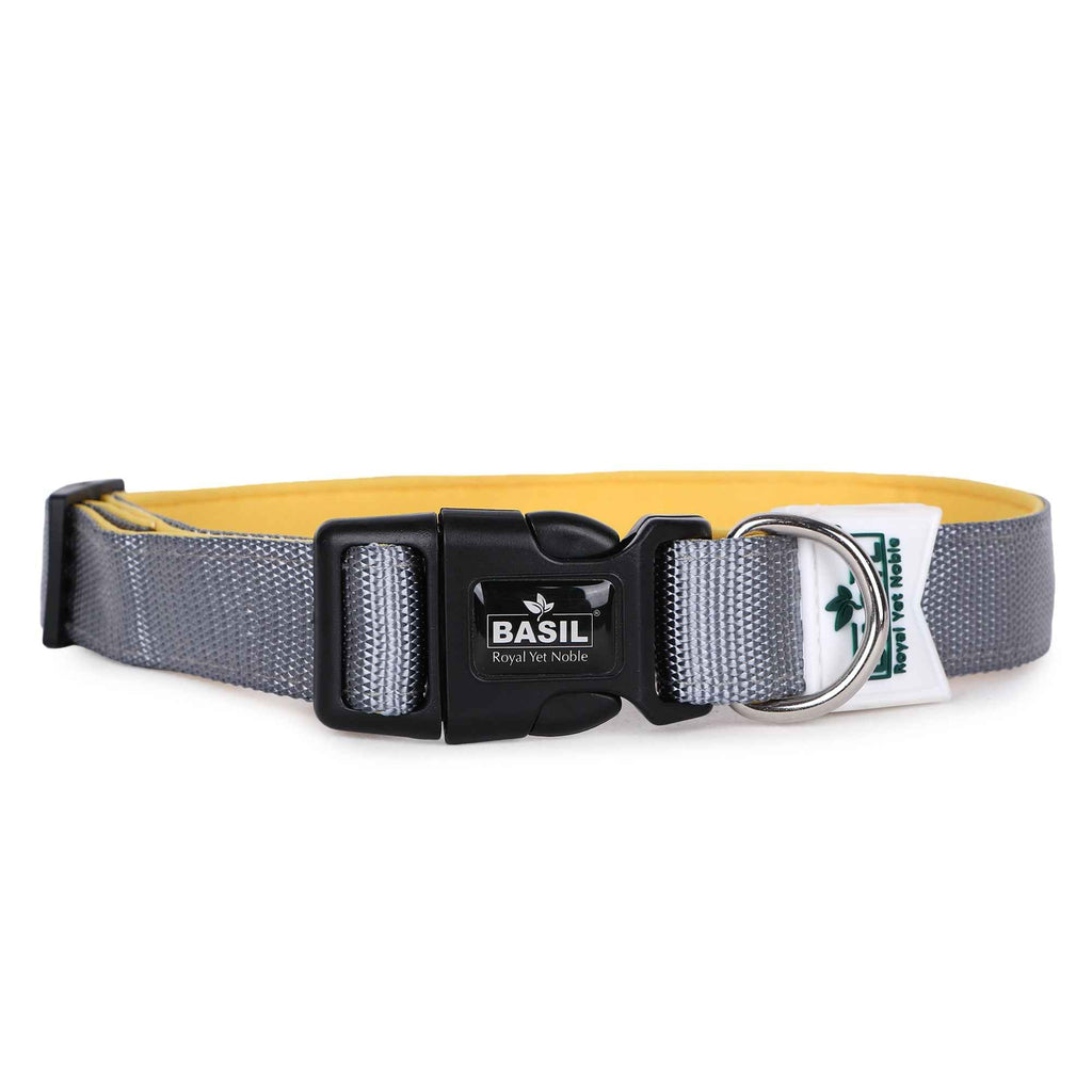 Padded Adjustable Collar for Dogs, Puppies & Cats (Gray)