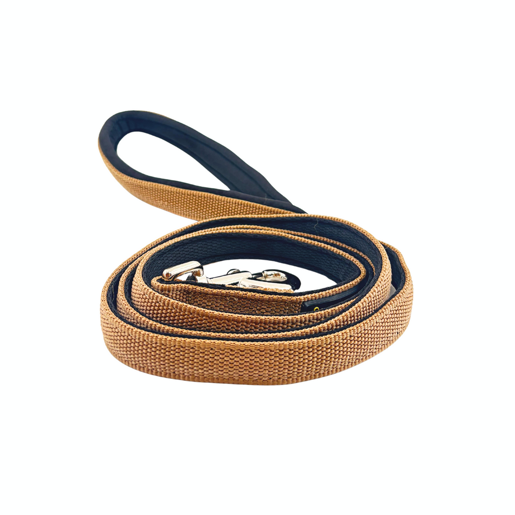 Petblush Everyday Full Padded Leash For Dogs