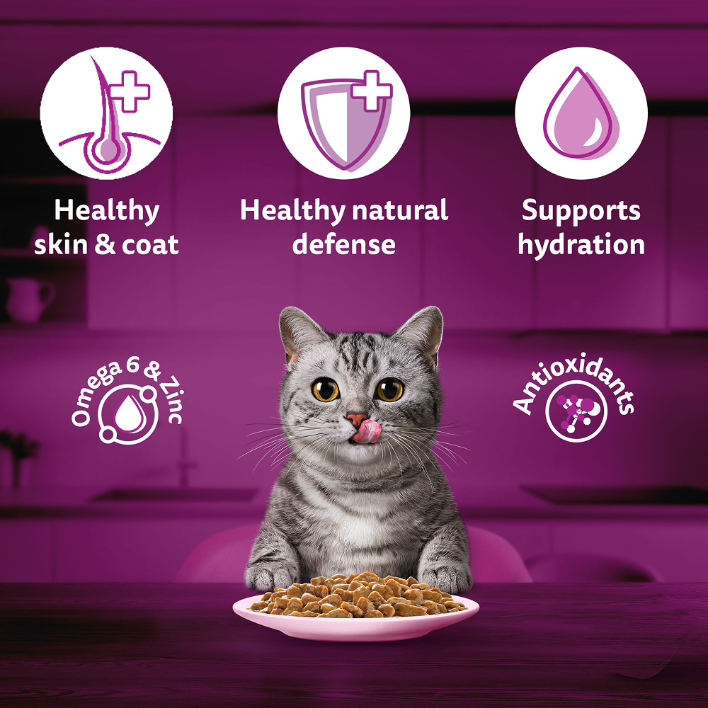 Whiskas Salmon in Gravy Meal Adult Cat Wet Food
