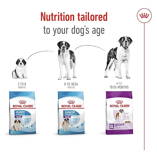 Royal Canin Giant Adult Dog Dry Food