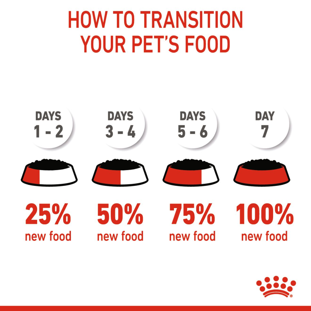 Royal Canin Mini Puppy Dog Wet Food