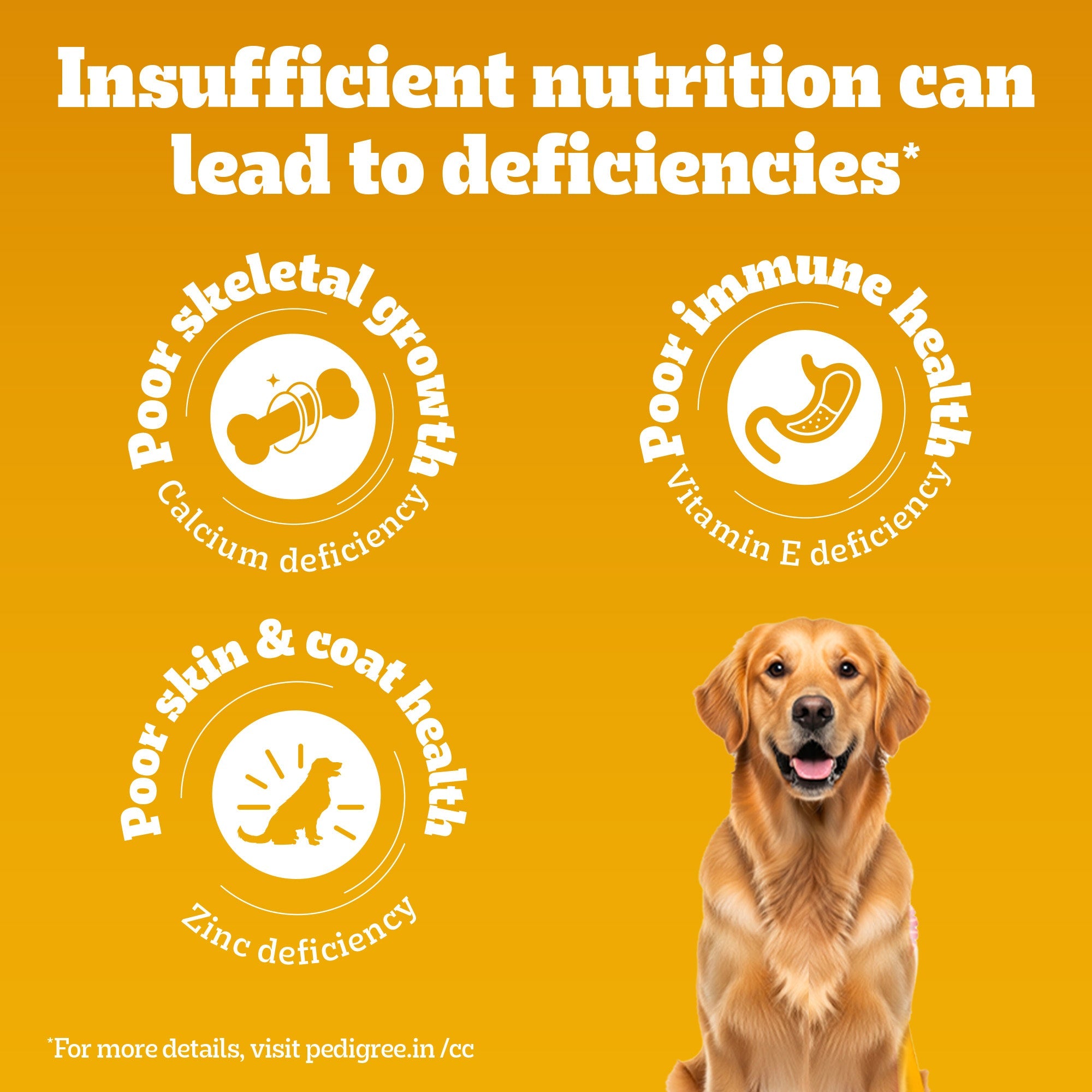 Pedigree Meat & Rice Adult Dog Dry Food