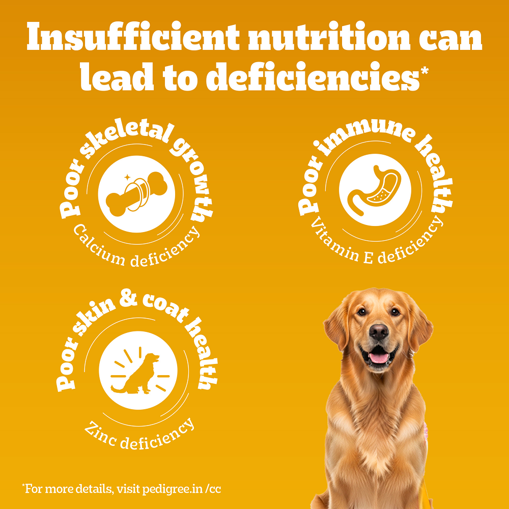 Pedigree Chicken and Vegetables Adult Dog Dry Food