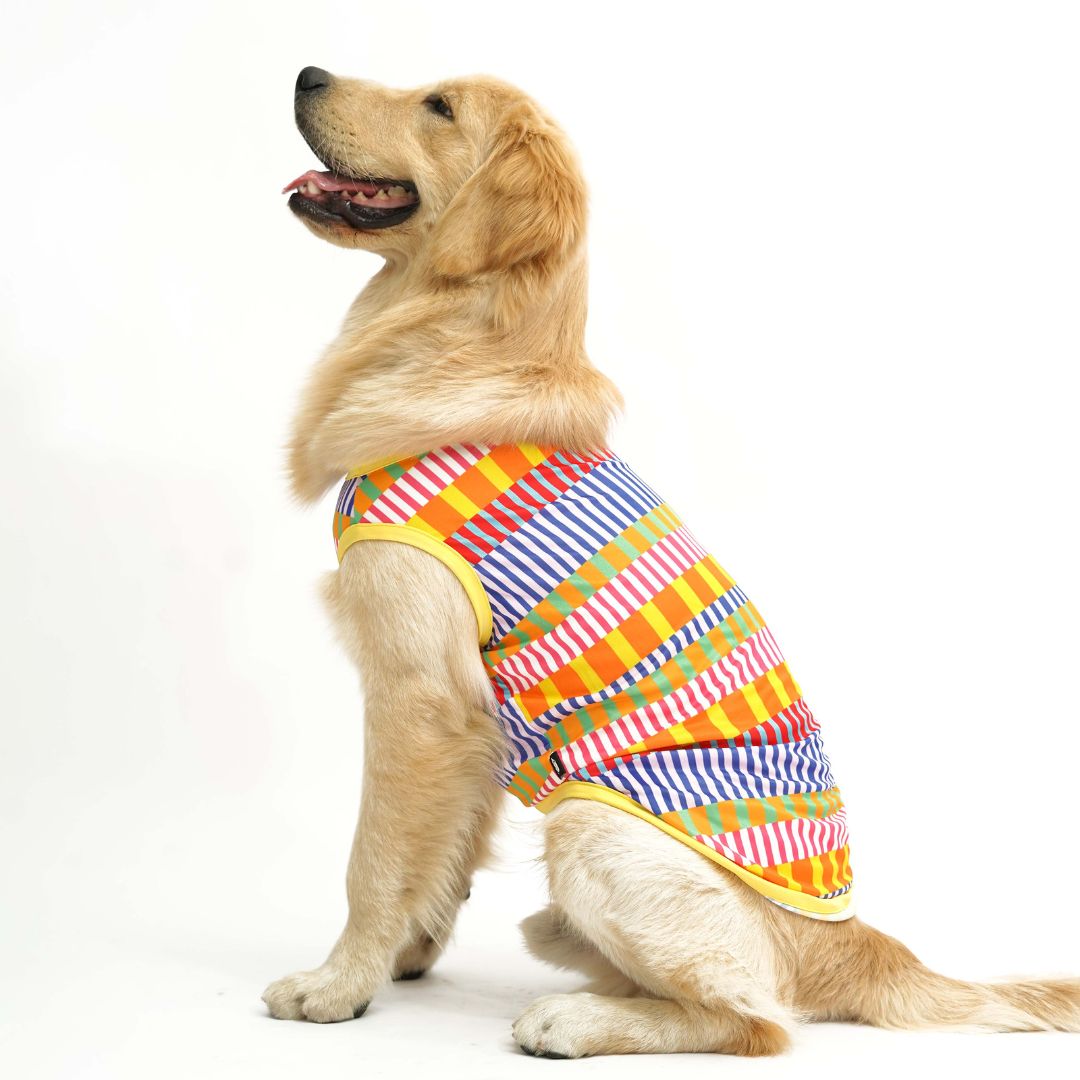 Retro Printed Dog Vest