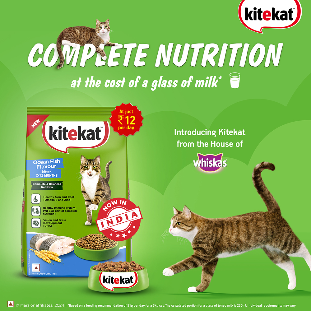 Kitekat Ocean Fish Kitten Dry Food PawStore