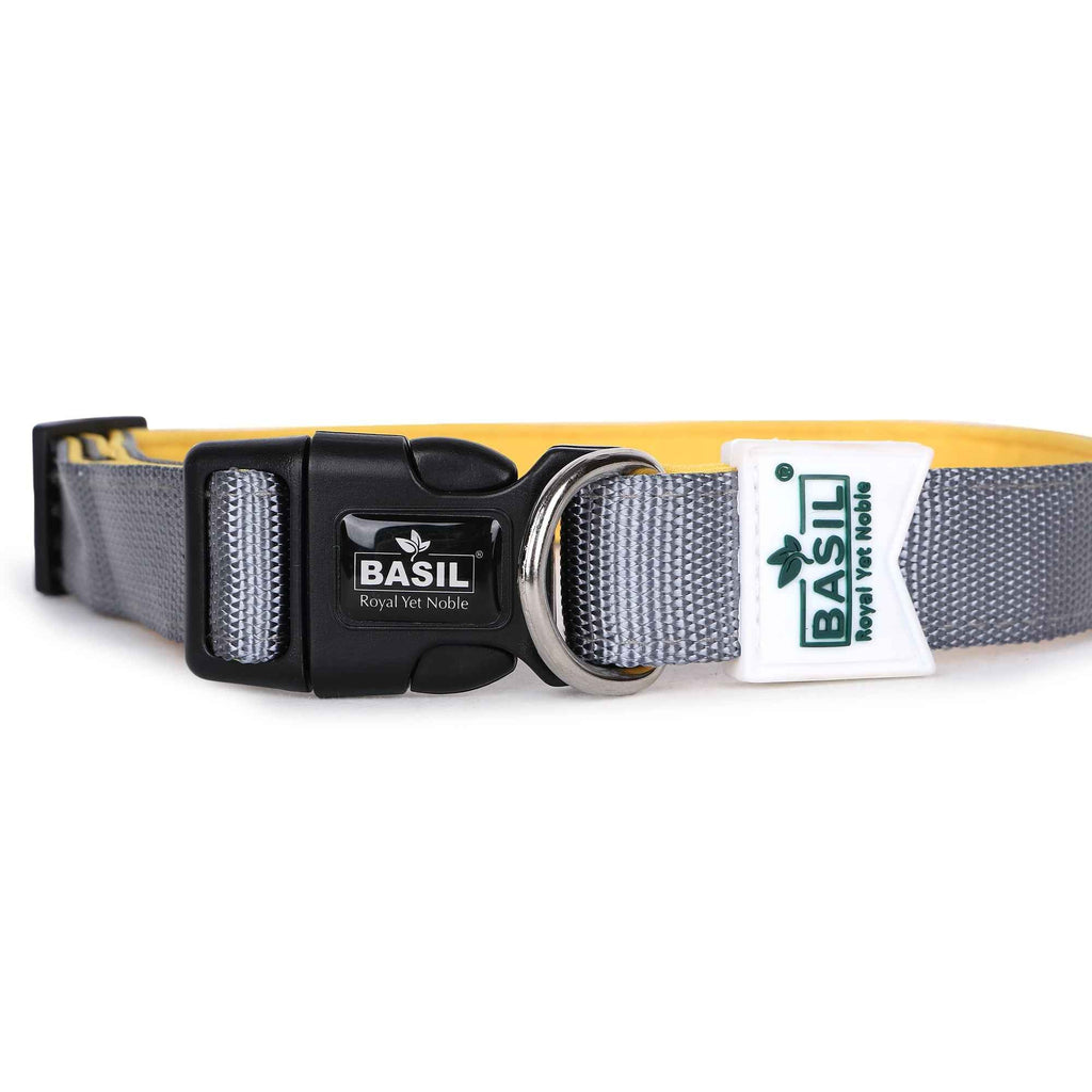 Padded Adjustable Collar for Dogs, Puppies & Cats (Gray)
