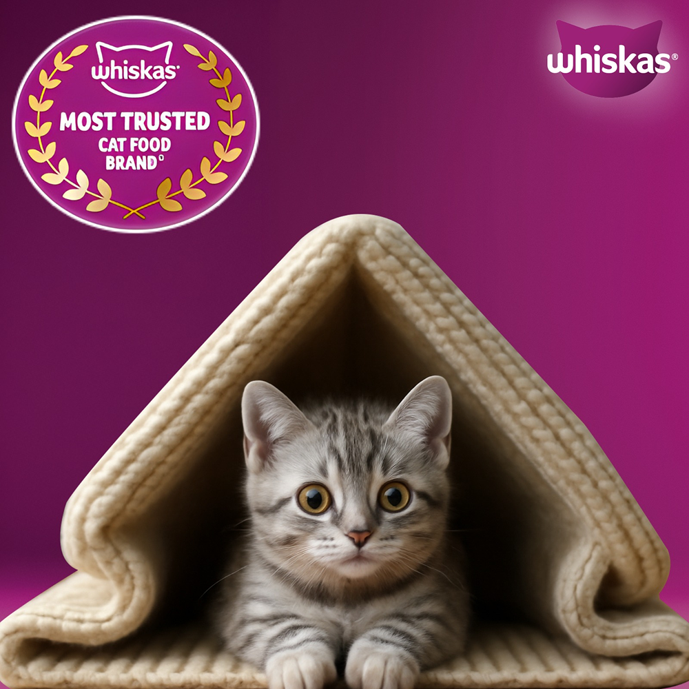 Whiskas Ocean Fish Kitten/Mother and Baby Cat Dry Food