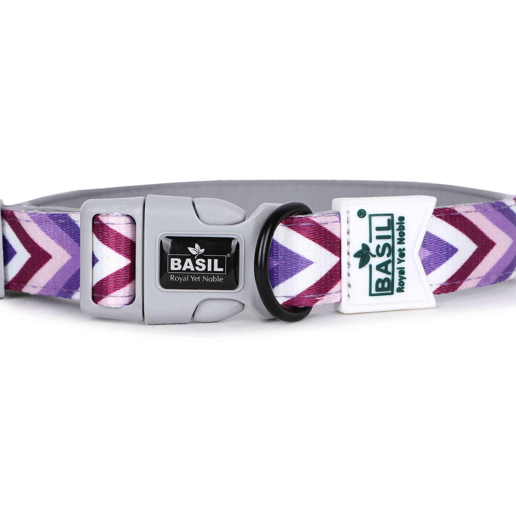 Padded Adjustable Collar for Dogs, Cats & Puppies (Zig-Zag Purple)
