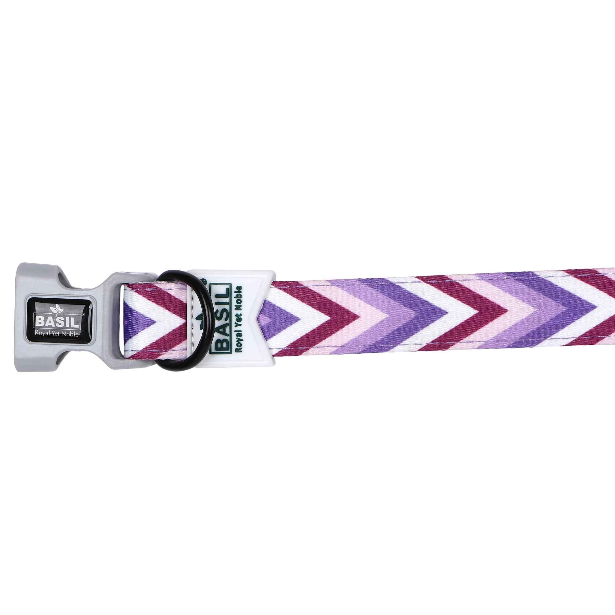 Padded Adjustable Collar for Dogs, Cats & Puppies (Zig-Zag Purple)