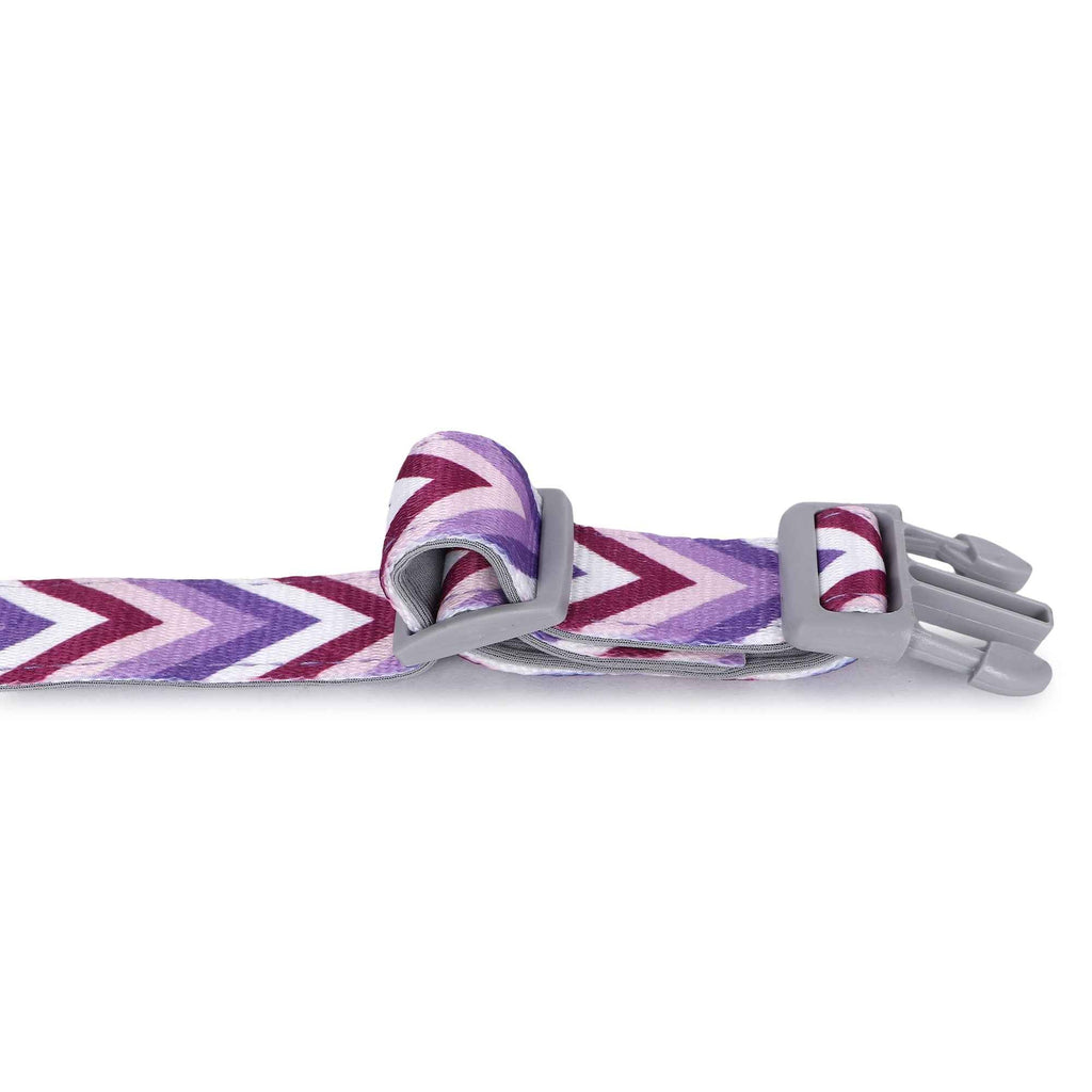 Padded Adjustable Collar for Dogs, Cats & Puppies (Zig-Zag Purple)