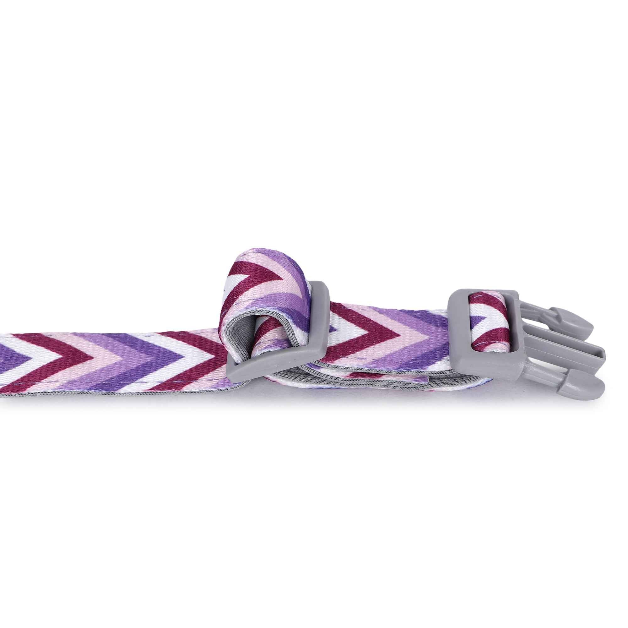 Padded Adjustable Collar for Dogs, Cats & Puppies (Zig-Zag Purple)