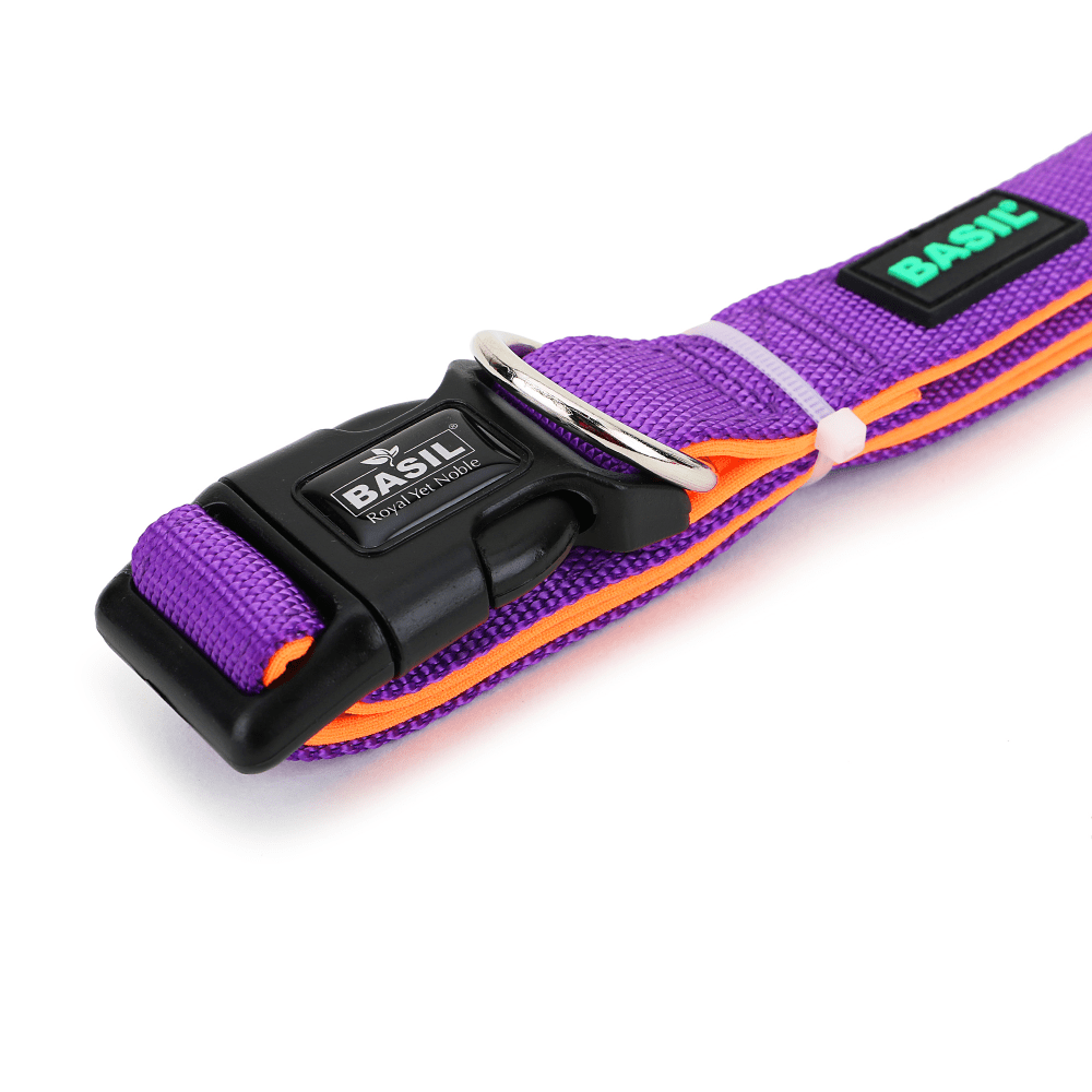 Basil Nylon Padded Collar for Dogs (Purple)