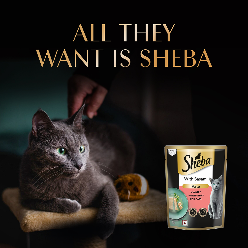 Sheba Sasami Pate Rich Premium Adult Fine Cat Wet Food