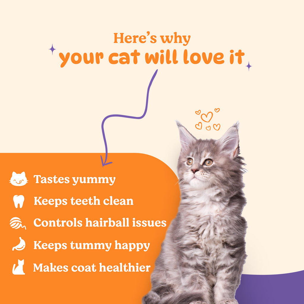 BASIL PURRfect Dental Stick Tuna Cranberry Treat for Cats & Kittens | 44 Grams
