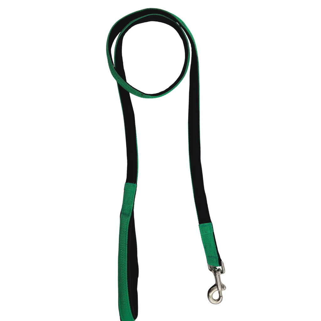 Petblush Everyday Full Padded Leash For Dogs