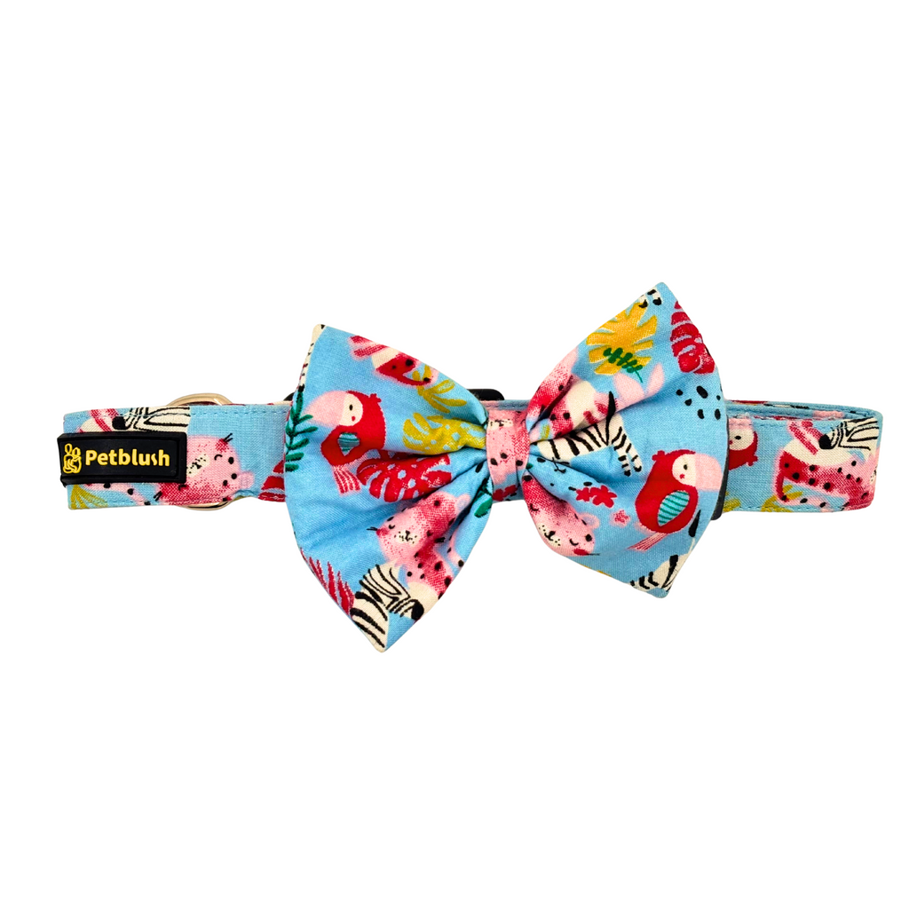 PetBlush Zoo Print Collar