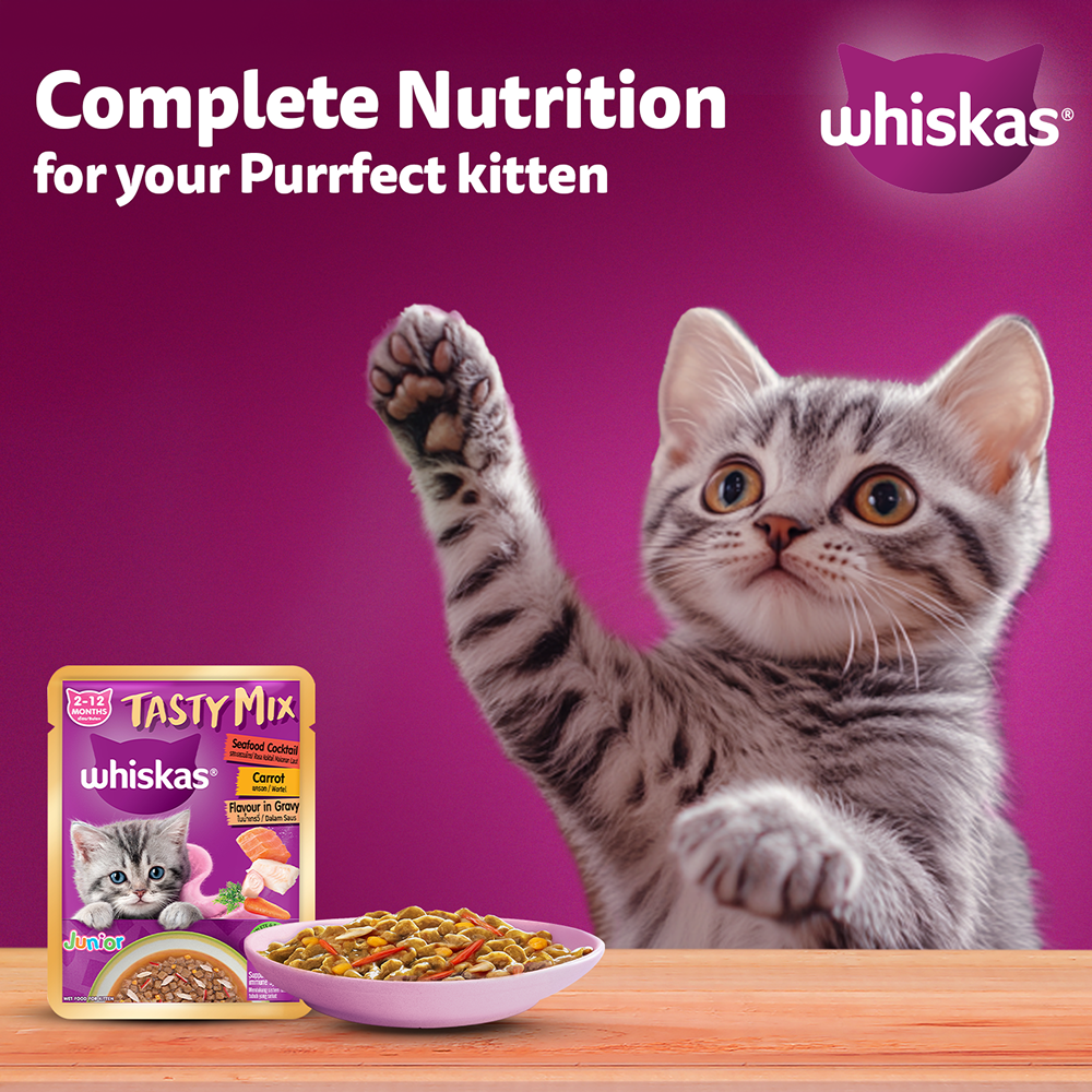 Whiskas Tasty Mix Seafood Cocktail Carrot Gravy Kitten Cat Wet Food