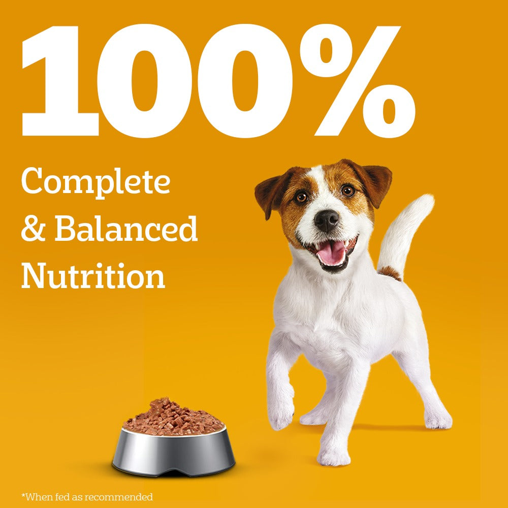 Pedigree Chicken and Liver Chunks in Gravy Pouch Puppy Dog Wet Food (130g)