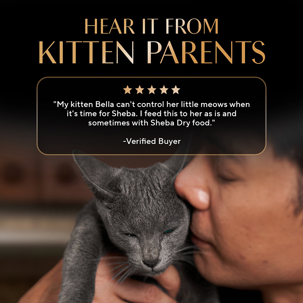 Sheba Chicken Loaf Rich Premium Kitten (2 to 12 Months) Fine Cat Wet Food