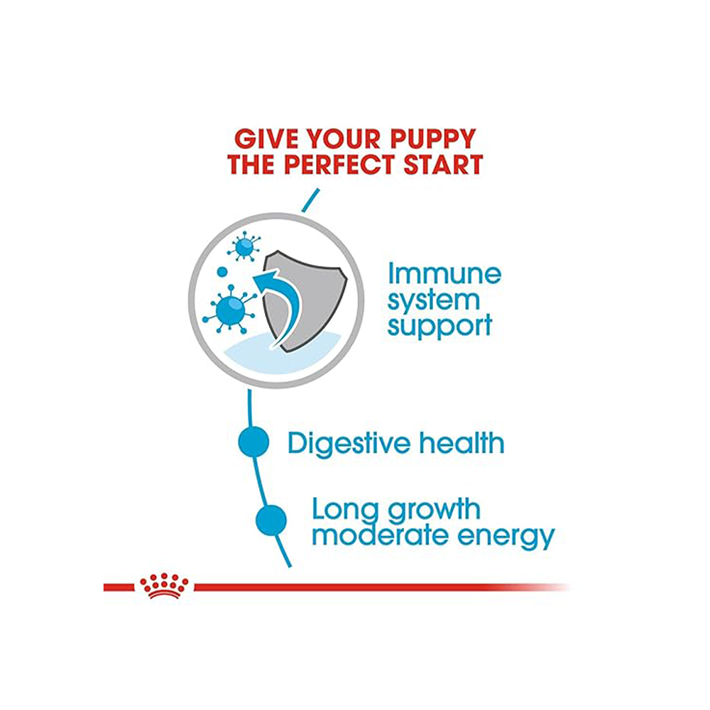 Royal Canin Maxi Puppy Dog Wet Food
