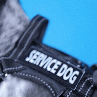 Petblush Tactical Harness for Dogs