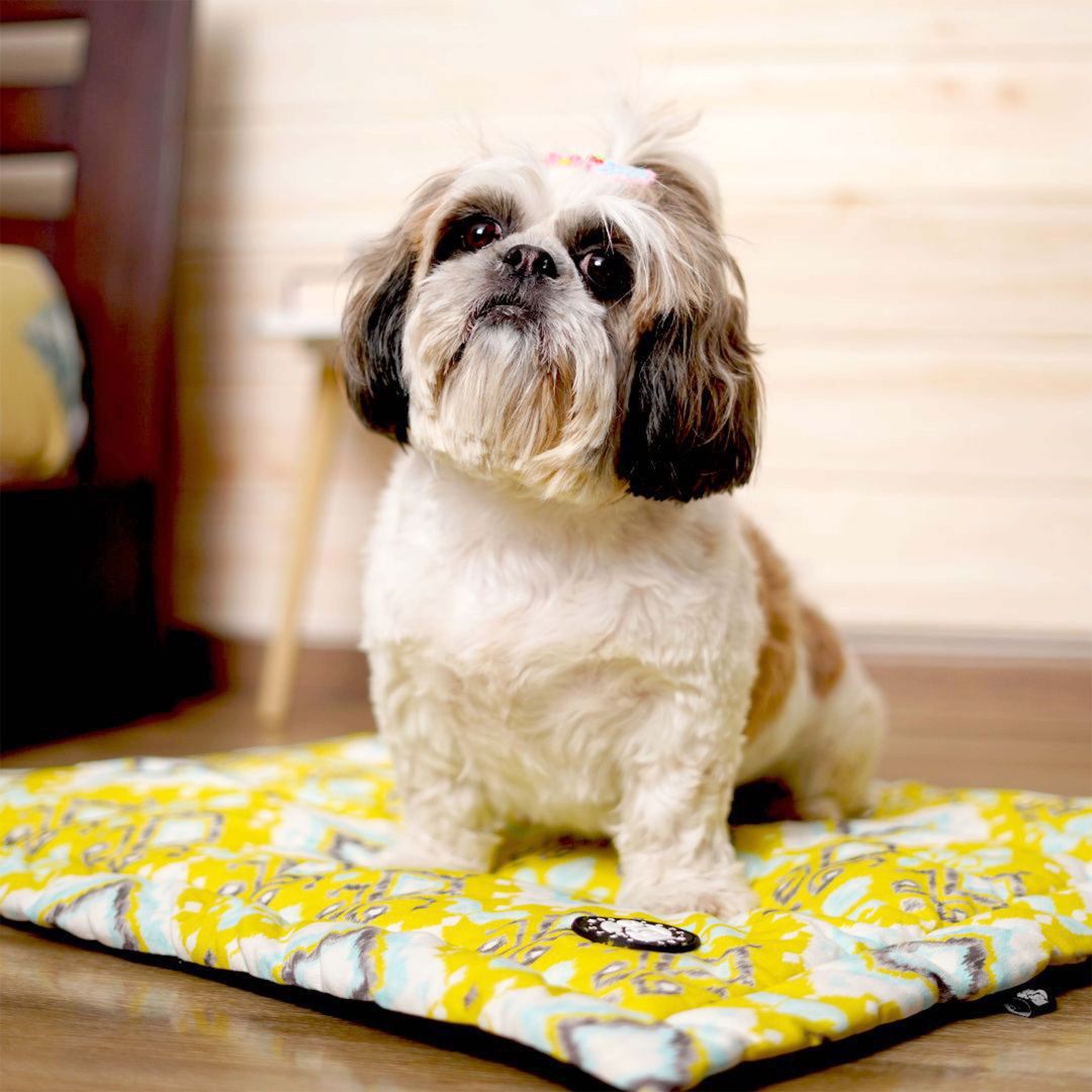 Tana Bana - Corn Mat: Stylish & Comfortable Dog Mat