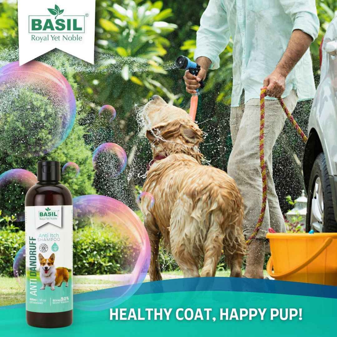 Anti-Dandruff Shampoo for Dogs