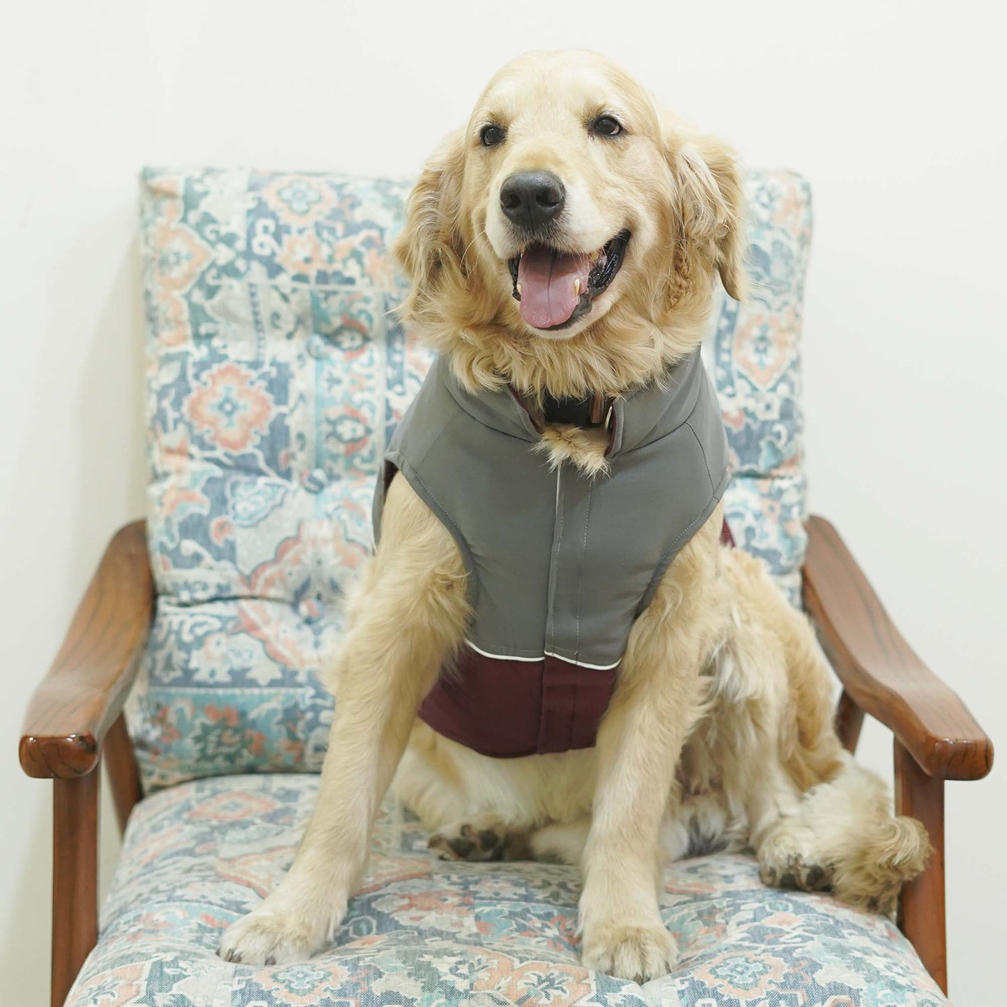 Frost- Wine Dog Jacket