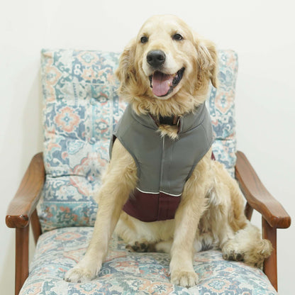 Frost- Wine Dog Jacket