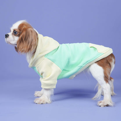 Icy Peak SweatShirt -Mint