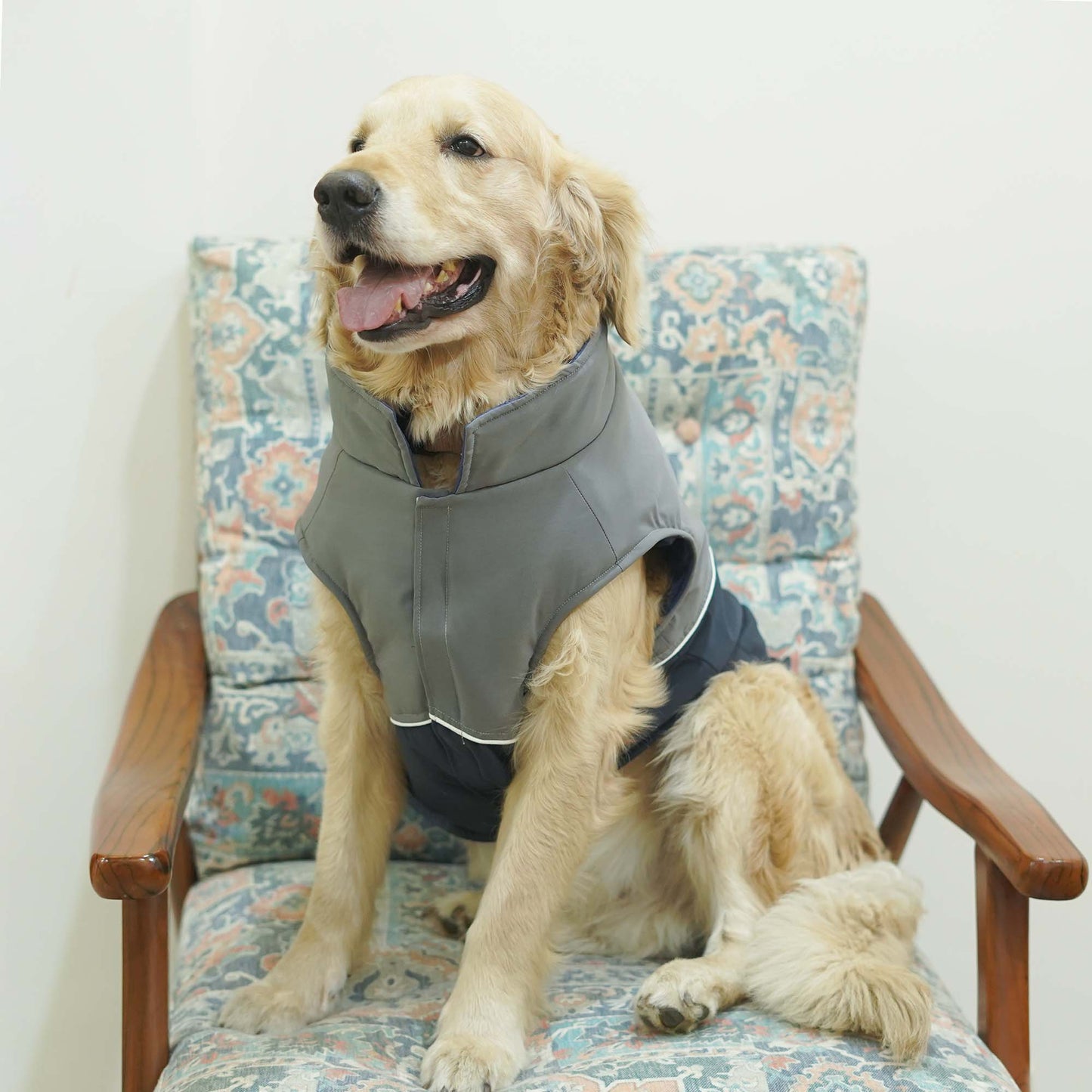 Frost- Navy Dog Jacket