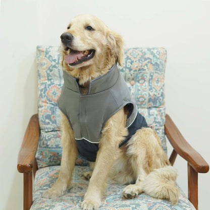 Frost- Navy Dog Jacket