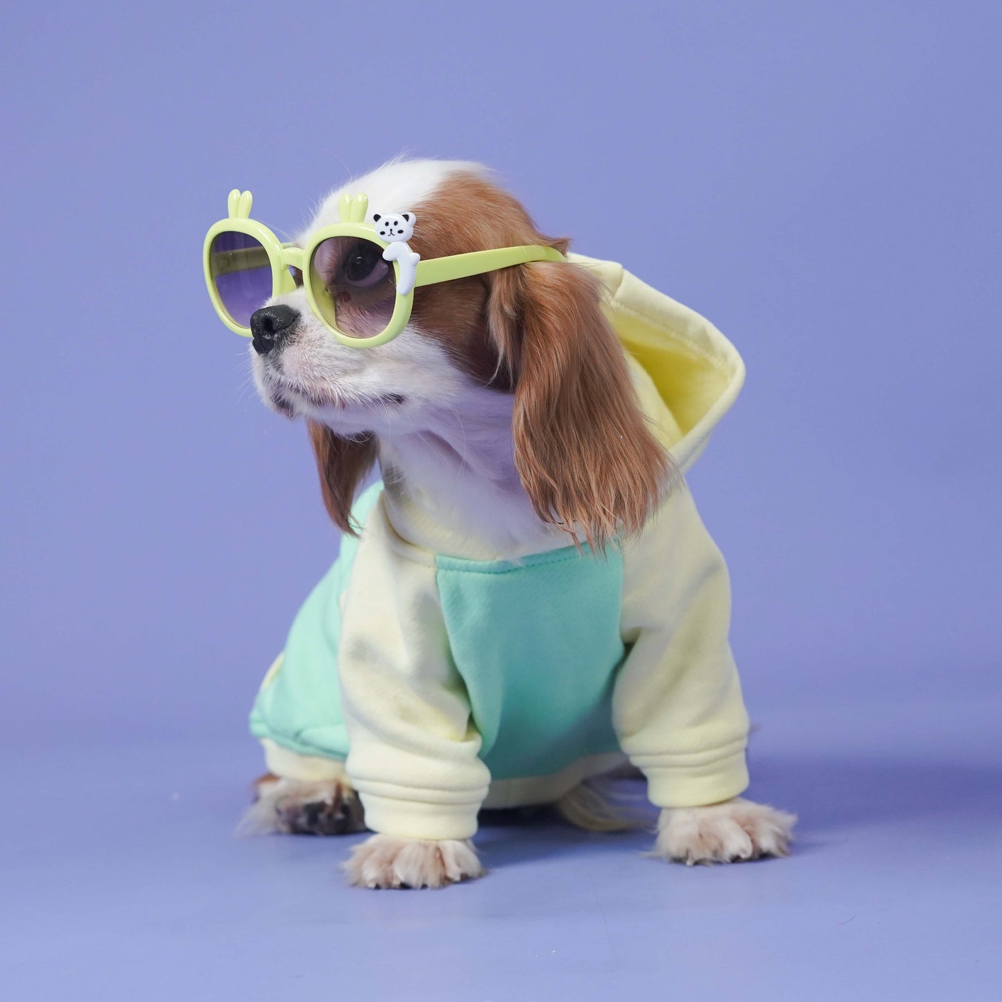 Icy Peak SweatShirt -Mint