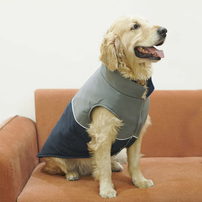 Frost- Navy Dog Jacket