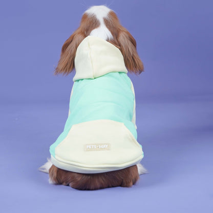 Icy Peak SweatShirt -Mint