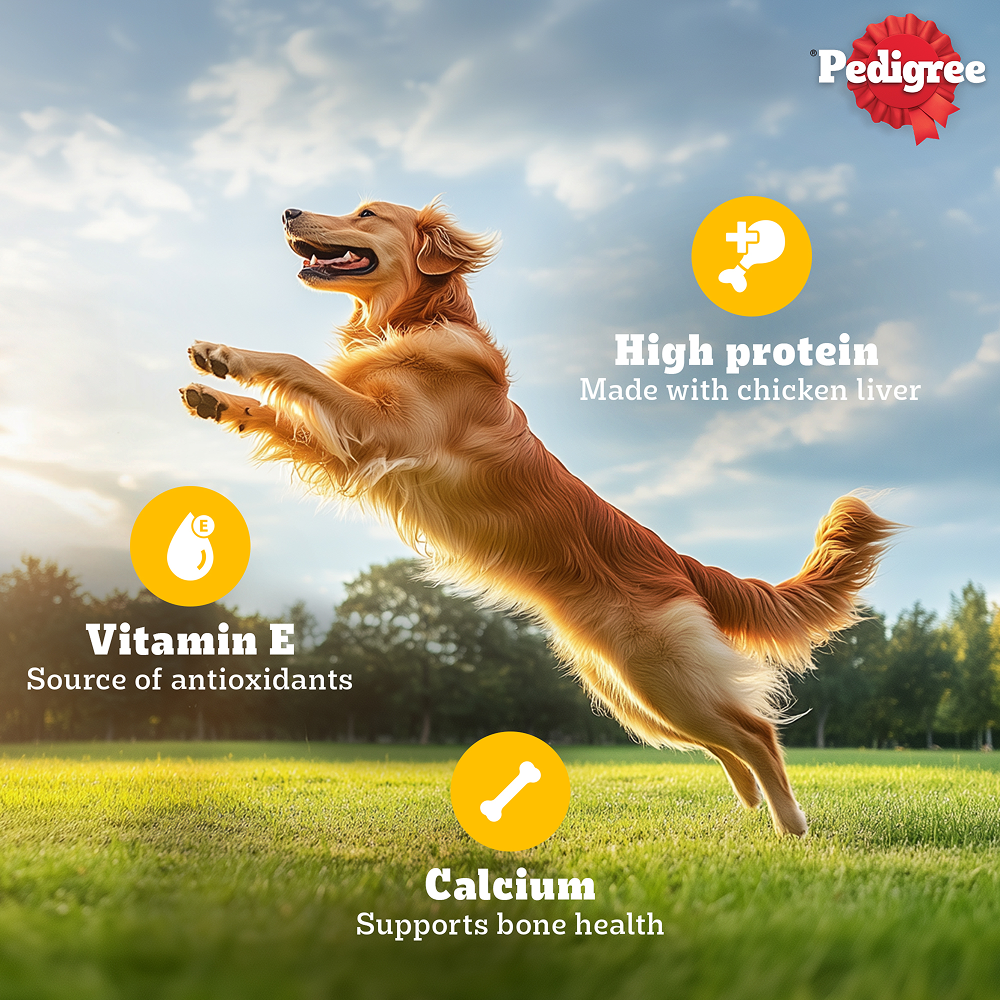 Pedigree Roasted Lamb Tasty Jerky Dog Treat