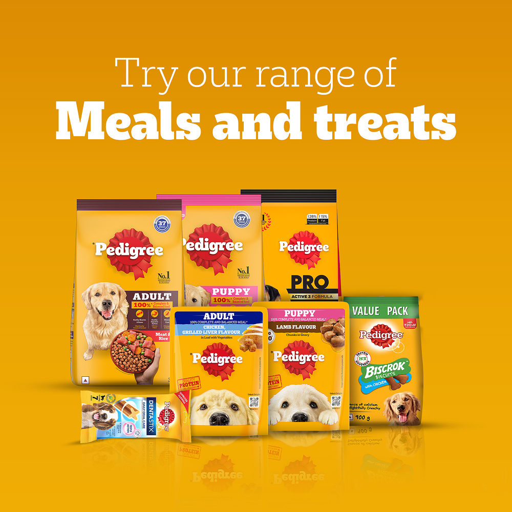 Pedigree Roasted Lamb Tasty Jerky Dog Treat