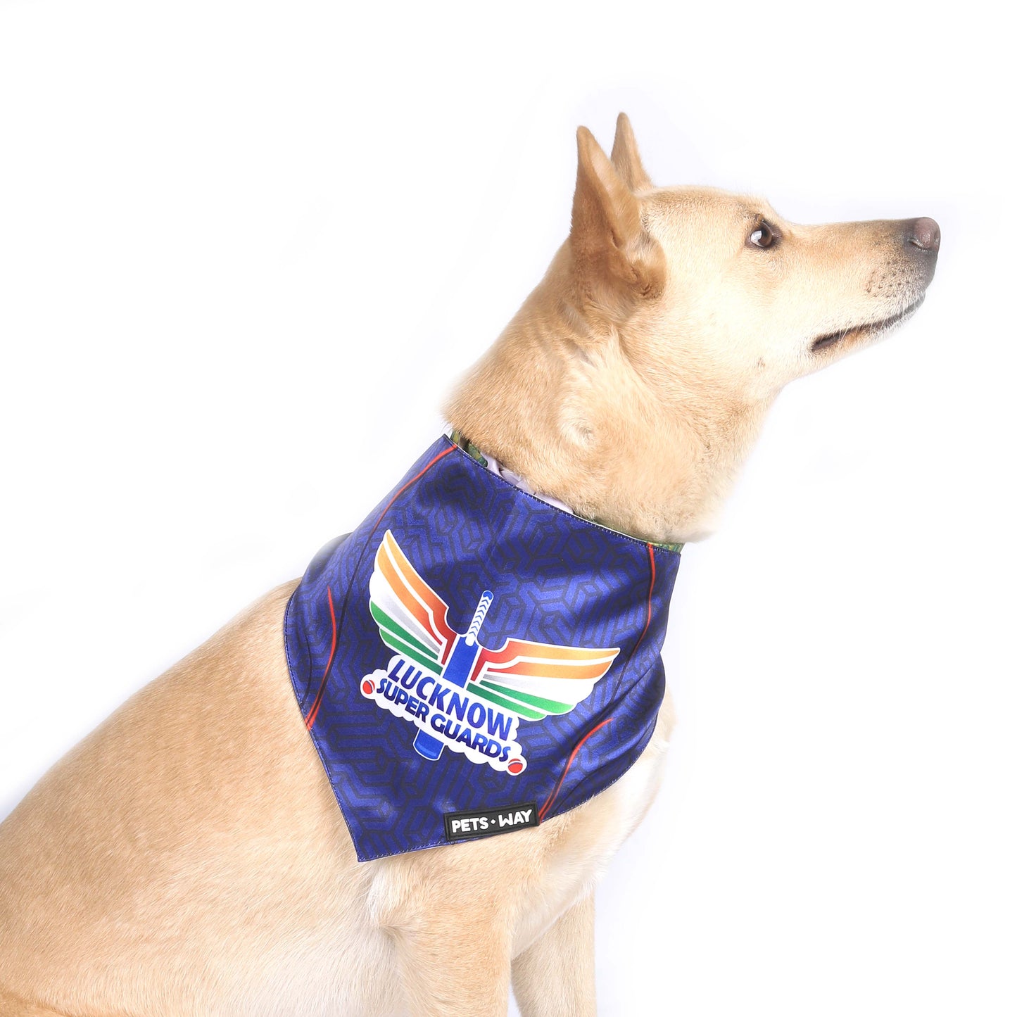 Lucknow  IPL Bandanas