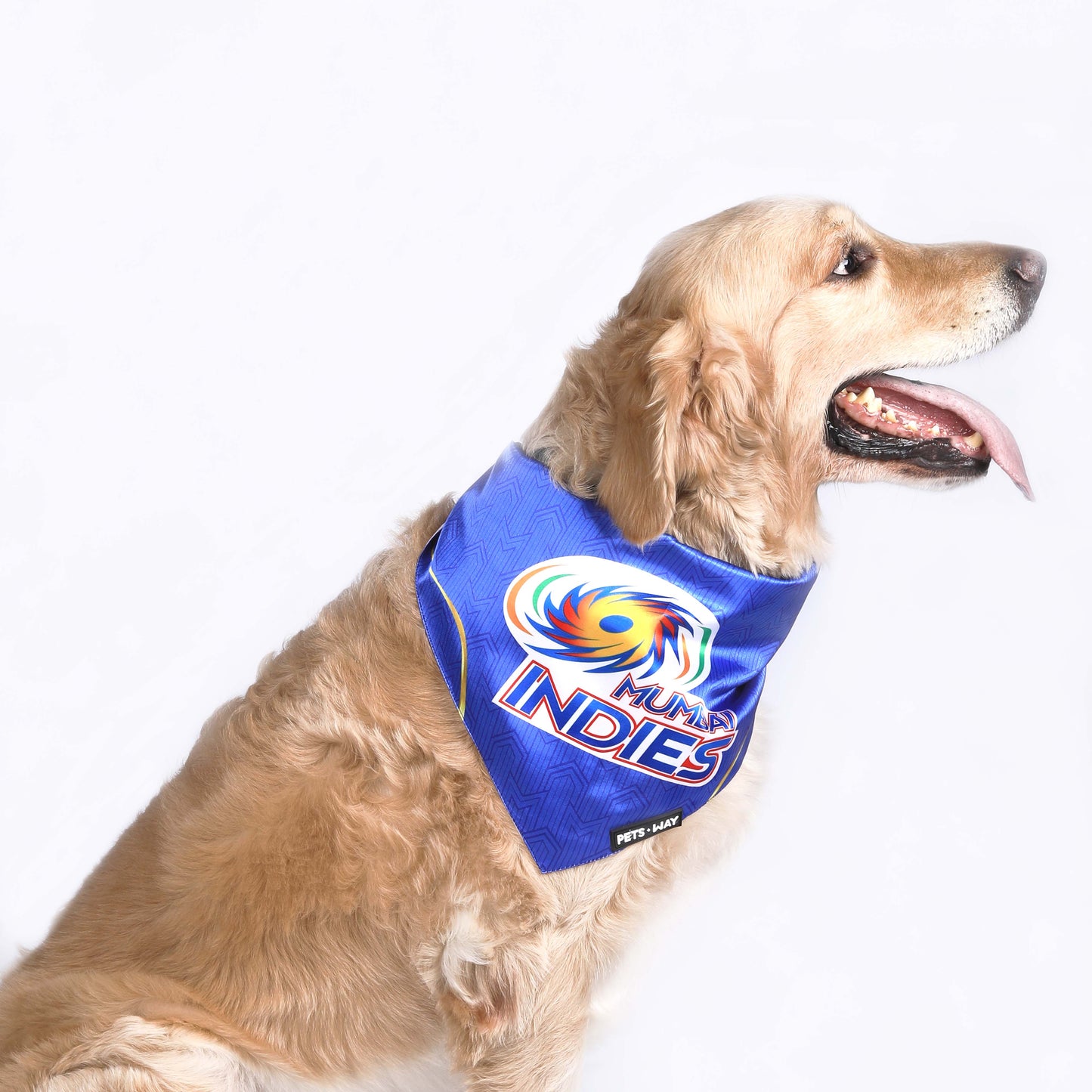 MI IPL Dog Bandana