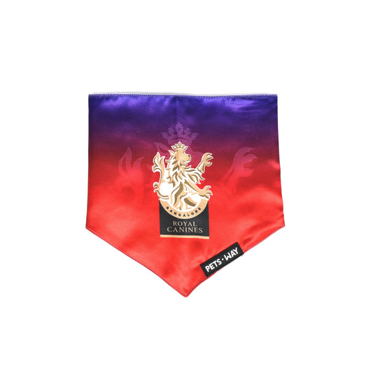 RCB IPL Bandanas