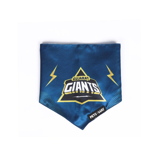 Gujarat IPL Bandanas
