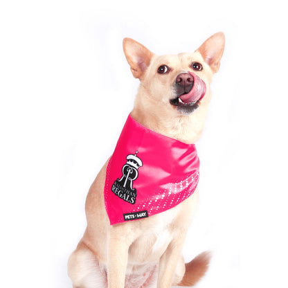 Rajasthan Regals IPL Bandanas